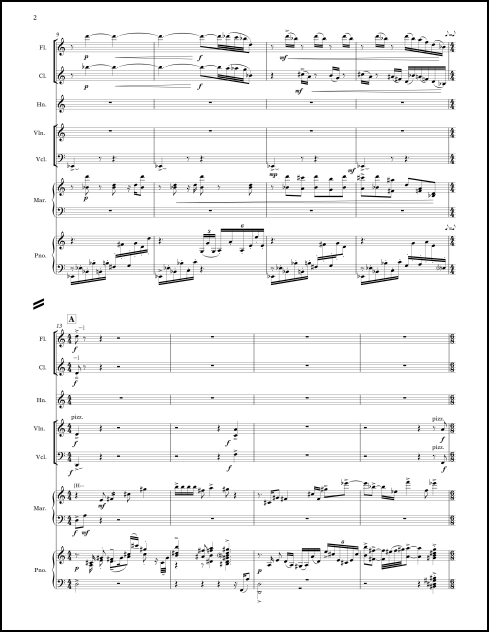 Chamber Symphony for seven instruments - Click Image to Close