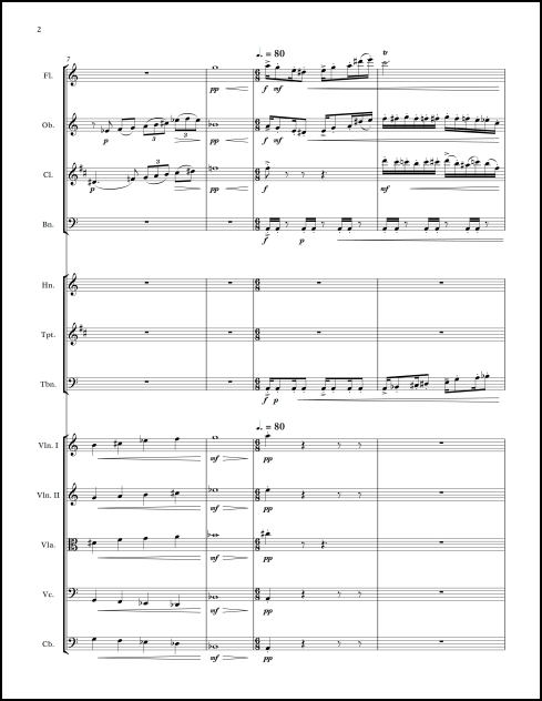 Albany Rhythms for chamber orchestra