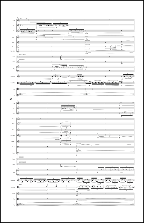 Doble Concierto para Violin y Viola double concerto for violin & viola