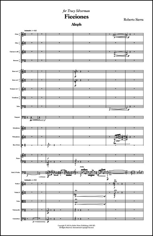 Ficciones for Concerto for Electric Violin & Orchestra