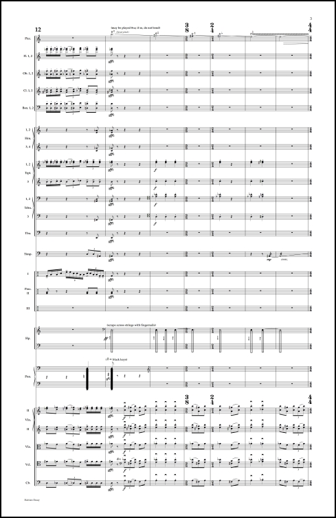 Haitian Essay for orchestra - Click Image to Close