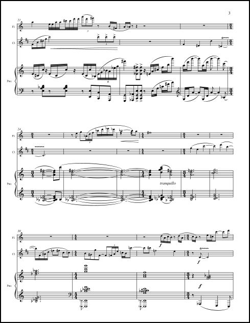 Into Sonic Horizons for flute, clarinet & piano - Click Image to Close