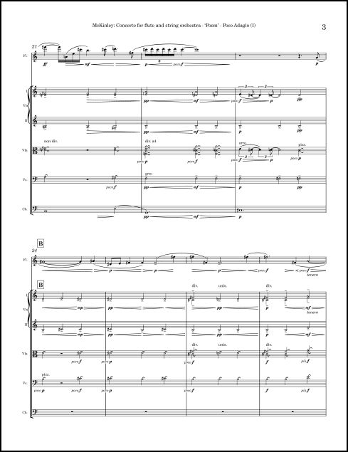 Concerto for Flute & String Orchestra - Click Image to Close